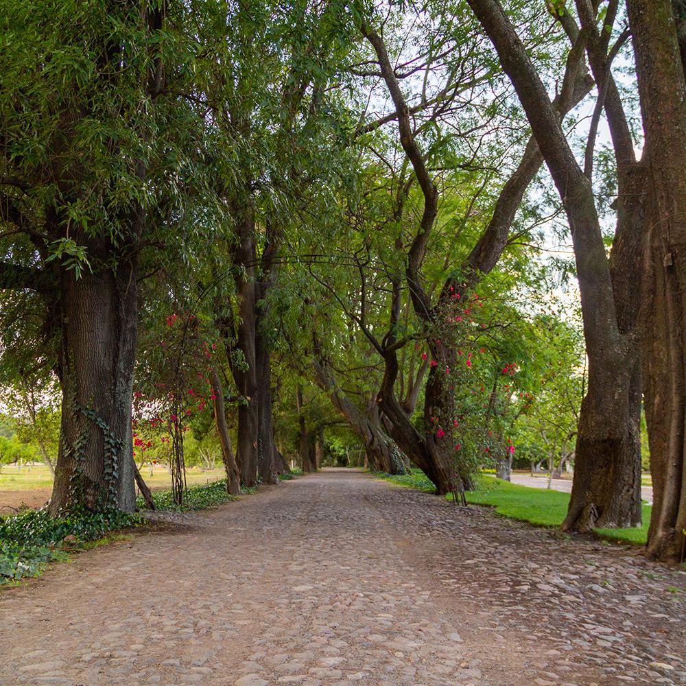 Entrance and grounds at Rancho Los Remedios