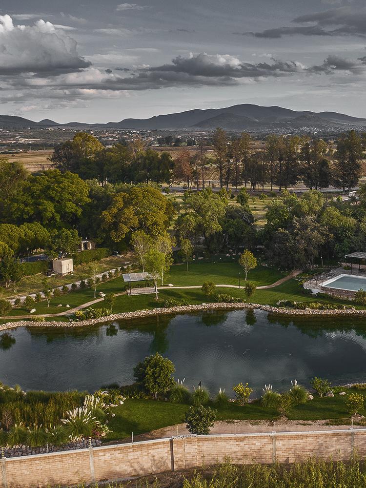 Los Remedios Vineyard picnic setting