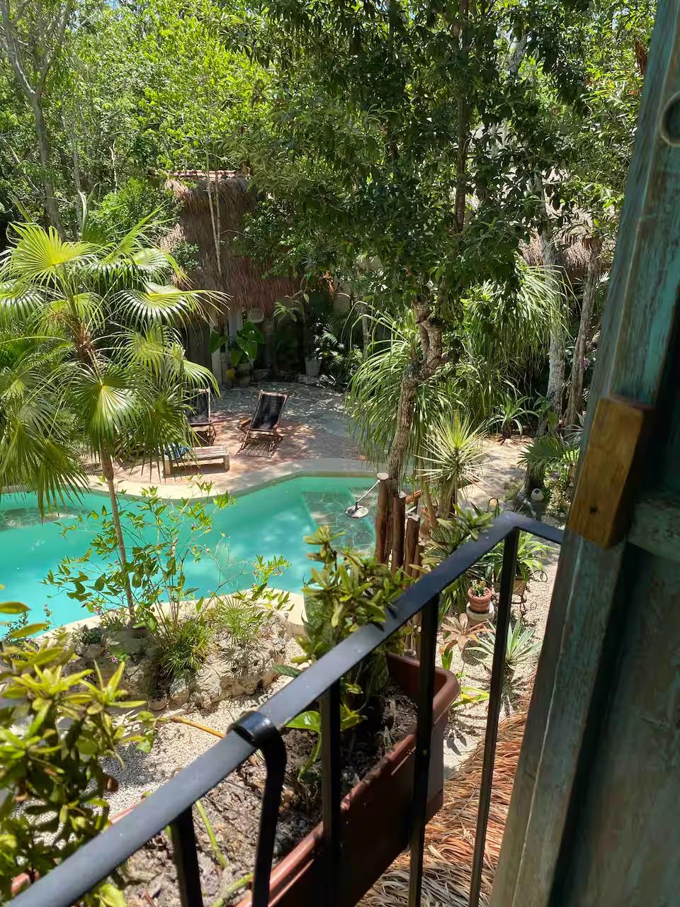 Outdoor lounge and poolside area in tropical greenery